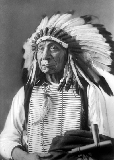 Red Cloud, Dakota-Häuptling, trägt einen Kopfschmuck, 1880er Jahre von David Frances Barry